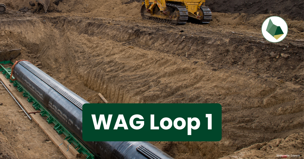 WAG Loop 1: Neue Leitung, neue Chancen für unseren Arbeitsmarkt im Mühlviertel