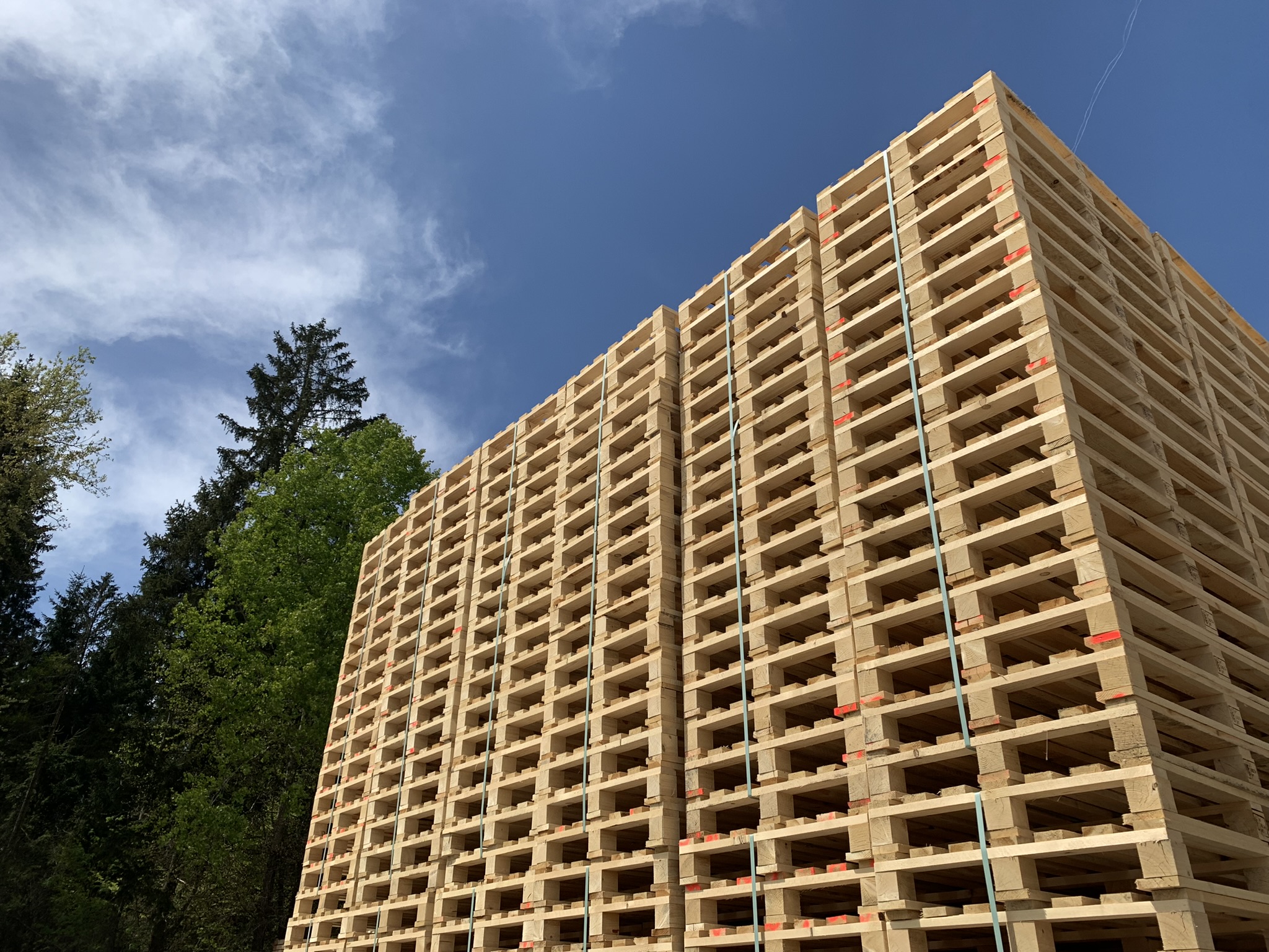 ecker - Paletten und Holzverpackung Firmenbanner